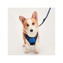 Blue - Mr. Peanut's PetTrek Reflective Pet Harness With Matching Leash - Small