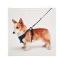 Blue - Mr. Peanut's PetTrek Reflective Pet Harness With Matching Leash - Small