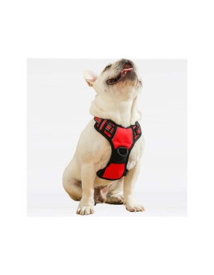 Red - Mr. Peanut's PetTrek Reflective Pet Harness With Matching Leash - Small