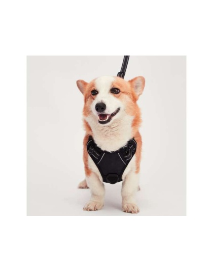 Black - Mr. Peanut's PetTrek Reflective Pet Harness With Matching Leash - Medium