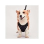 Black - Mr. Peanut's PetTrek Reflective Pet Harness With Matching Leash - Medium