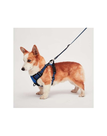 Blue - Mr. Peanut's PetTrek Reflective Pet Harness With Matching Leash - Medium
