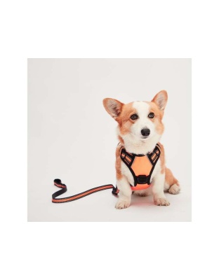 Orange - Mr. Peanut's PetTrek Reflective Pet Harness With Matching Leash - Large