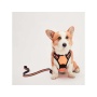 Orange - Mr. Peanut's PetTrek Reflective Pet Harness With Matching Leash - Large