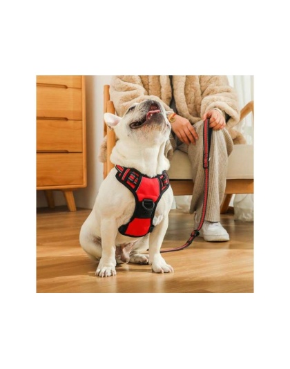 Red - Mr. Peanut's PetTrek Reflective Pet Harness With Matching Leash - Medium