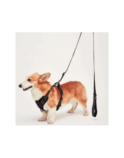 Black - Mr. Peanut's PetTrek Reflective Pet Harness With Matching Leash - Large