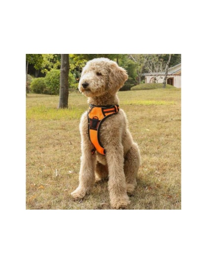 Orange - Mr. Peanut's PetTrek Reflective Pet Harness With Matching Leash - Large