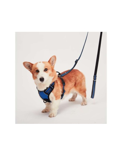 Blue - Mr. Peanut's PetTrek Reflective Pet Harness With Matching Leash - Large