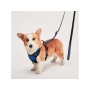Blue - Mr. Peanut's PetTrek Reflective Pet Harness With Matching Leash - Large