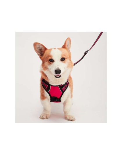 Red - Mr. Peanut's PetTrek Reflective Pet Harness With Matching Leash - Large