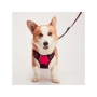 Red - Mr. Peanut's PetTrek Reflective Pet Harness With Matching Leash - Large
