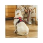 Red - Mr. Peanut's PetTrek Reflective Pet Harness With Matching Leash - Large