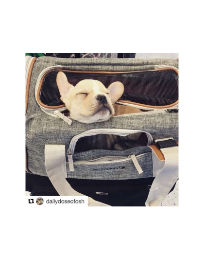 Snowflake Gray - Mr. Peanut's Platinum Series Double Expandable Pet Carrier - 18inLx10.5inWx11inH