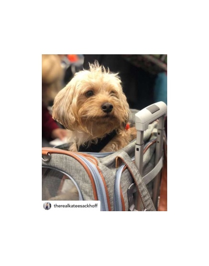 Twilight Gray - Mr. Peanut's Platinum Series Pet Carrier - 18inLx10.5inWx11inH