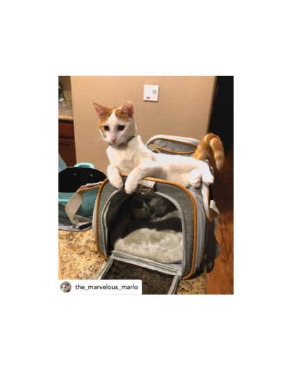 Twilight Gray - Mr. Peanut's Platinum Series Pet Carrier - 18inLx10.5inWx11inH
