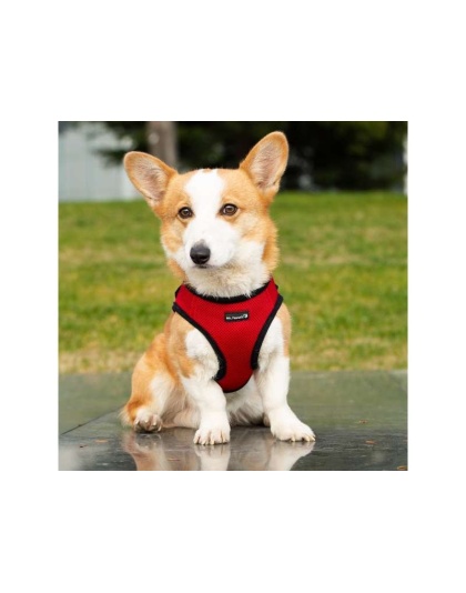 Red - Mr. Peanut's PupTrek Small Dog/Cat Soft Mesh Step In Harness Vest - XSmall