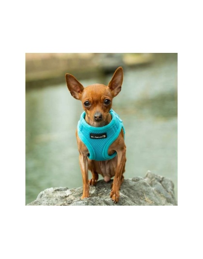 Blue - Mr. Peanut's PupTrek Small Dog/Cat Soft Mesh Step In Harness Vest - XSmall