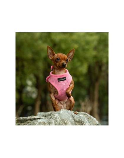 Pink - Mr. Peanut's PupTrek Small Dog/Cat Soft Mesh Step In Harness Vest - Small