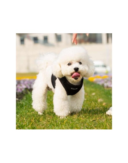 Black - Mr. Peanut's PupTrek Small Dog/Cat Soft Mesh Step In Harness Vest - Large