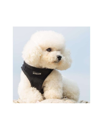 Black - Mr. Peanut's PupTrek Small Dog/Cat Soft Mesh Step In Harness Vest - Large