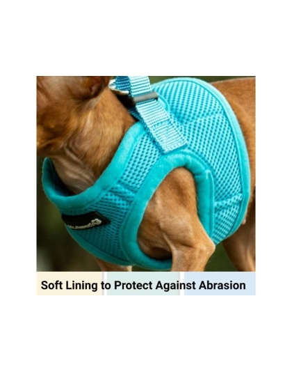 Blue - Mr. Peanut's PupTrek Small Dog/Cat Soft Mesh Step In Harness Vest - Large