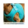 Blue - Mr. Peanut's PupTrek Small Dog/Cat Soft Mesh Step In Harness Vest - Large