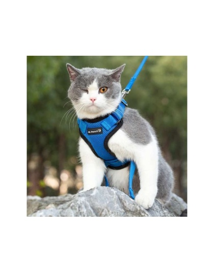 Blue - Mr. Peanut's PurrTrek Reflective Cat Harness with Matching Leash - Small
