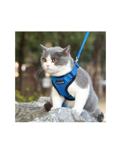 Blue - Mr. Peanut's PurrTrek Reflective Cat Harness with Matching Leash - Small