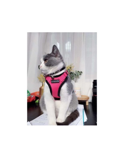 Blue - Mr. Peanut's PurrTrek Reflective Cat Harness with Matching Leash - Small