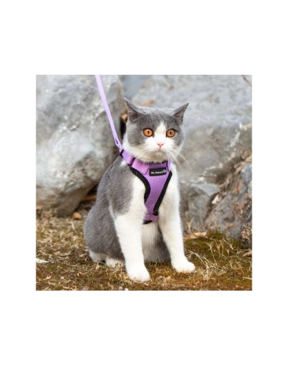 Lilac - Mr. Peanut's PurrTrek Reflective Cat Harness with Matching Leash - Small