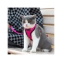 Pink - Mr. Peanut's PurrTrek Reflective Cat Harness with Matching Leash - Small