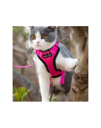 Pink - Mr. Peanut's PurrTrek Reflective Cat Harness with Matching Leash - Small