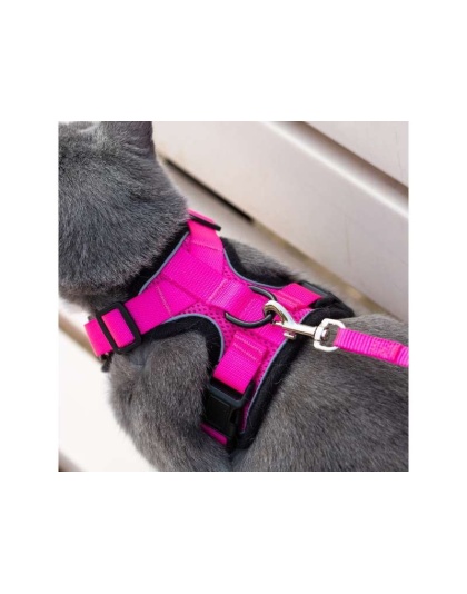 Pink - Mr. Peanut's PurrTrek Reflective Cat Harness with Matching Leash - Small