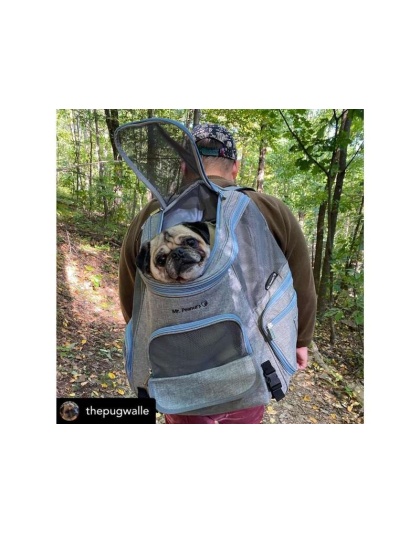 Mr. Peanut's Tahoe Series Expandable Backpack Pet Carrier - 17 in Hx14.4 in Wx9 in D