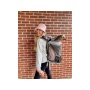 Charcoal Ash - Mr. Peanut's Vancouver Series Backpack Pet Carrier for Smaller Cats and Dogs - 17 in L X 11 in W X 11 in H