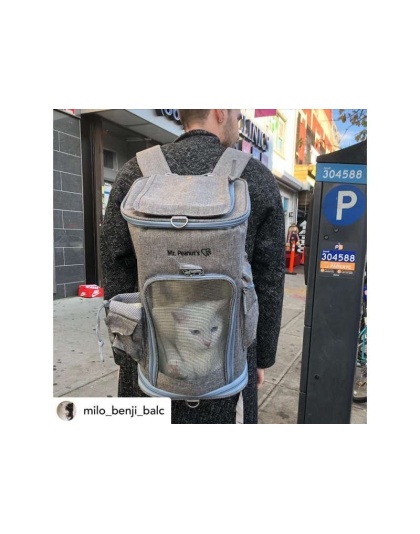 Platinum Gray - Mr. Peanut's Vancouver Series Backpack Pet Carrier for Smaller Cats and Dogs - 17 in L X 11 in W X 11 in H