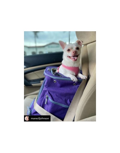 Purple - Mr. Peanut's Vancouver Series Backpack Pet Carrier for Smaller Cats and Dogs - 17 in L X 11 in W X 11 in H
