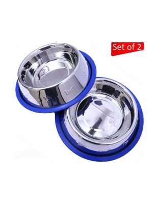 Etched Stainless Steel Dog Bowls with Blue Silicone Base