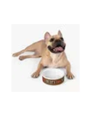 Savage Love Pet Feeding Bowl