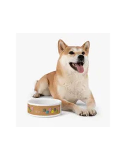 Spoiled Pet Feeding Bowl