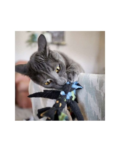 Cat Candy