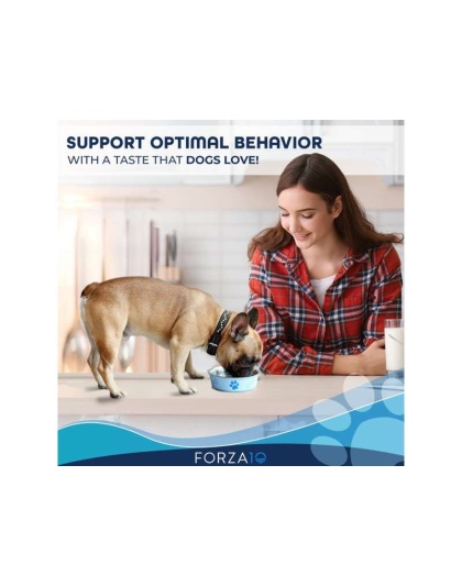 Forza10 Active Behavioral Support Diet Dry Dog Food - 6-lb bag