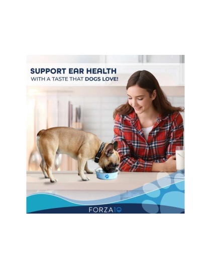 Forza10 Active Oto Support Diet Dry Dog Food - 6-lb bag