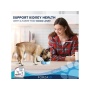 Forza10 Actiwet Renal Support Canned Dog Food - 3.5-oz