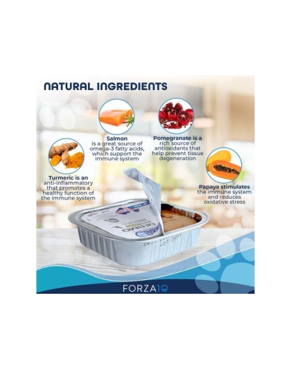 Forza10 ActiWet Dermo Support Icelandic Fish Recipe Canned Cat Food - 3.5-oz