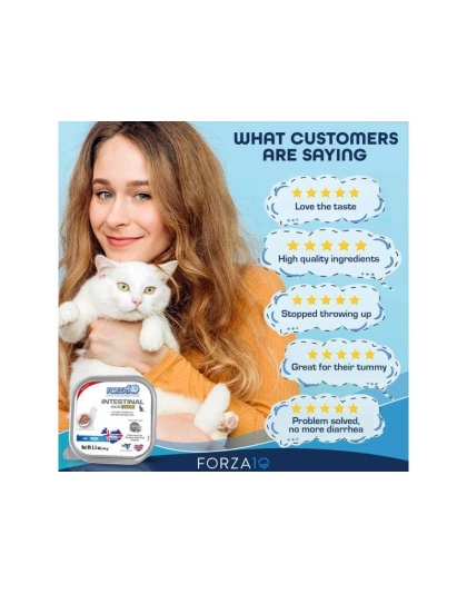 Forza10 Actiwet Intestinal Support Icelandic Fish Recipe Canned Cat Food - 3.5-oz