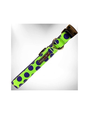 Blue Dot on Green - Polka Dot Dog - Neon Collars - XS 5/8" width fits 8-12" neck
