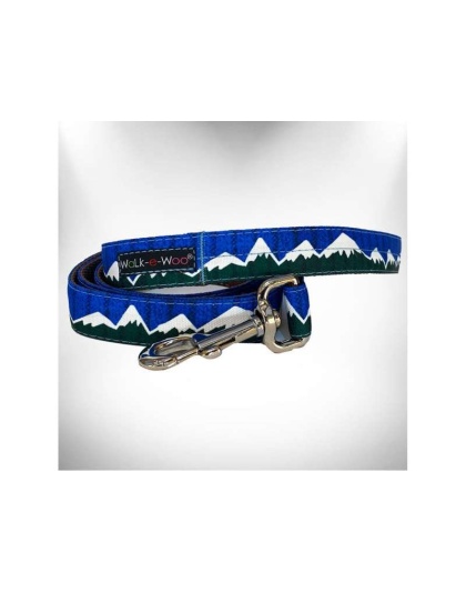 Blue/Green Snowcap Mtn - Mountain Dog Leads  - REGULAR Lead 1" width- 5' length