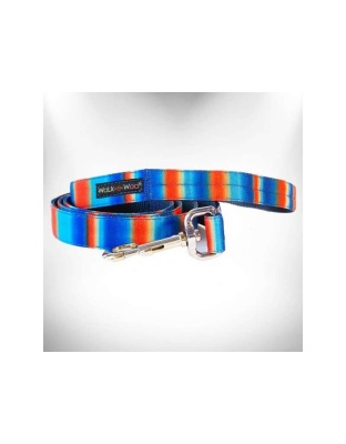 Blue/Orange - Tie Dye Dog Leads  - REGULAR Lead 1" width- 5' length
