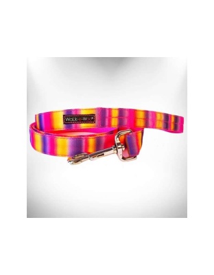 Pink/Purple - Tie Dye Dog Leads  - REGULAR Lead 1" width- 5' length